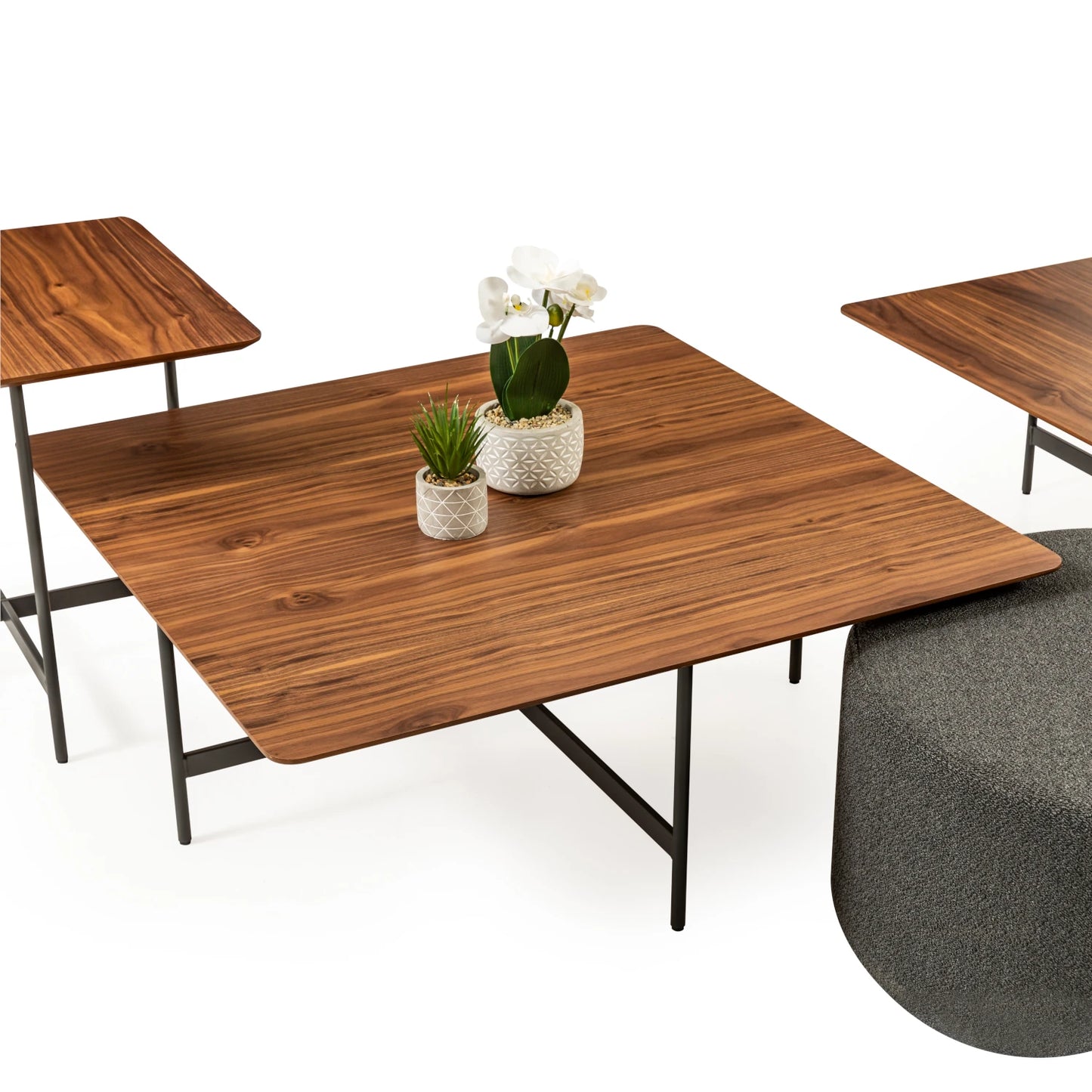 Madra koleksiyonu - Ceviz tablalı, siyah metal ayaklı kare orta sehpa