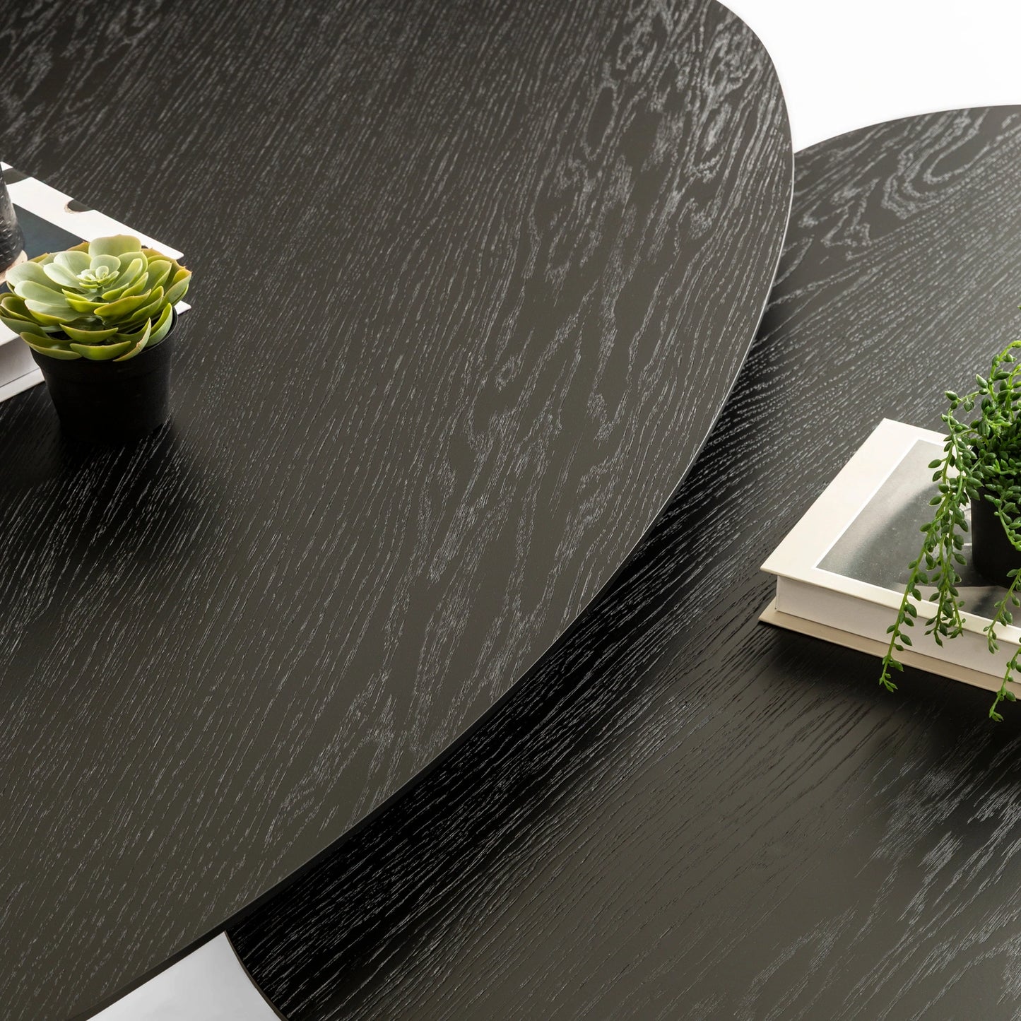 Raven koleksiyonu - Siyah meşe tabla ve ayaklı amorf orta sehpa